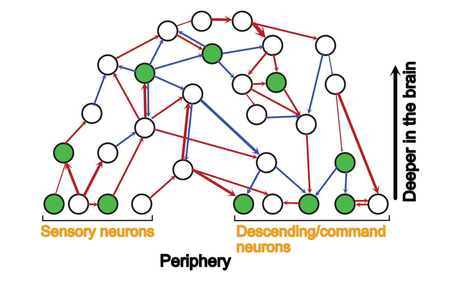 Conceptual understanding diagram